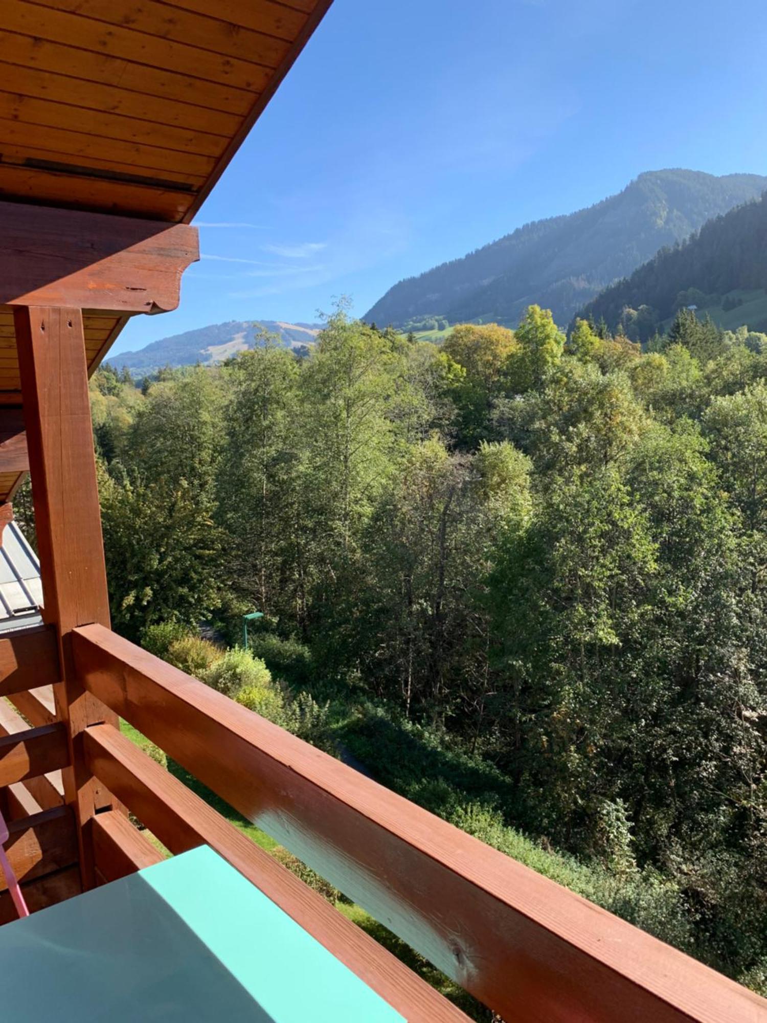 Appartement Vue Piste De Ski Praz-sur-Arly Extérieur photo
